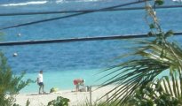 Puerto Morelos photo #1