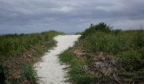 Puerto Morelos photo #4
