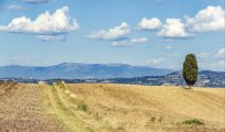 Lac Trasimene photo #28