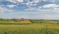 Lac Trasimene photo #8