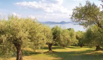 Lac Trasimene photo #25