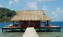 Tahaa photo #1