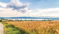 Lac Trasimene photo #31