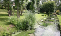 Baie de Somme photo #14