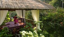 Ubud photo #8