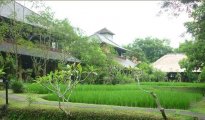 Ubud photo #1