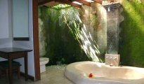 Ubud photo #10
