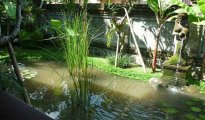 Ubud photo #3