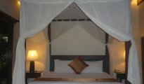 Ubud photo #8