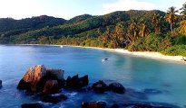 Anse Forbans photo #4