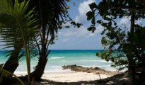 Praslin photo #5