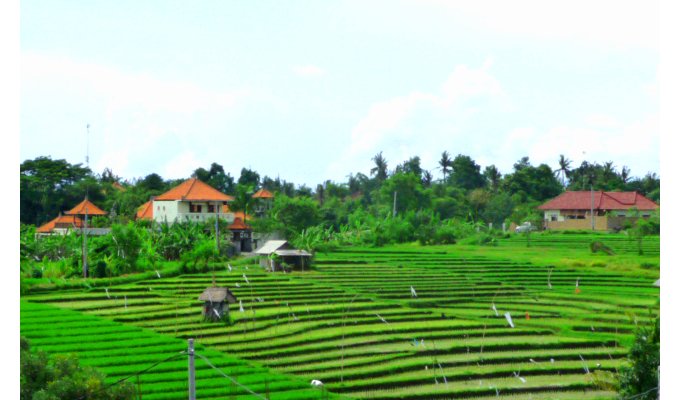 Location villa 4 chambres, Kerobokan, Seminyak, Bali
