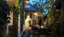 Ubud photo #9