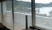 Phuket - Patong photo #5