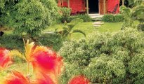 Chamarel photo #11