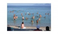 Île de Hvar photo #1