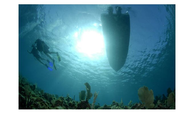 Plongée sous-marine et tuba à Saint-Martin / Sint Maarten avec Octopus Diving