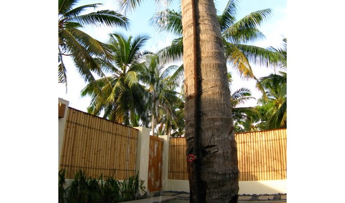 Location Villa privée avec jardin tropical, à quelques minutes des plages de sable blanc