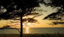 Phuket - Natai Beach photo #10