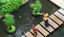 Siem Reap - Angkor photo #13