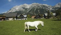 Ramsau photo #37