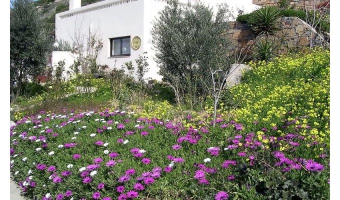 Location villa Crete, avec piscine privée, pour des vacances en Grèce.