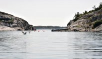 Flekkerøy/Kristiansand photo #9