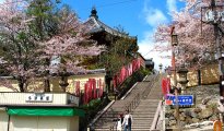 Tokyo photo #3