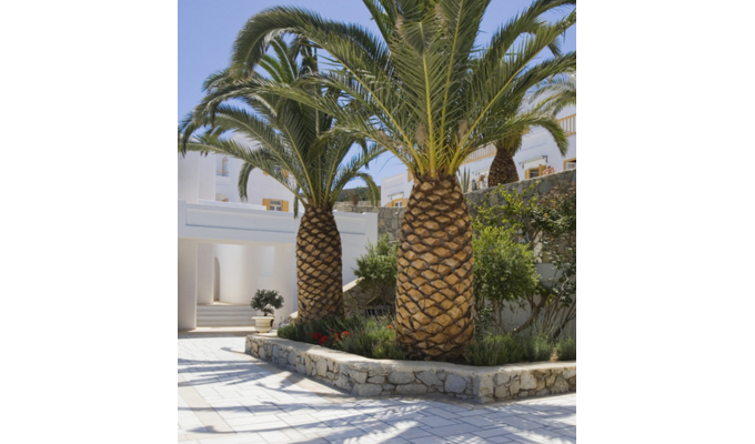 Votre Séjour dans les Cyclades, en hébergement 8j/7 nuits à l'hôtel avec petit déjeuner chambre Standard. Hôtel Dorion