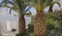 Mykonos photo #14