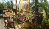 Ubud photo #5