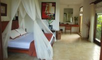 Ubud photo #6