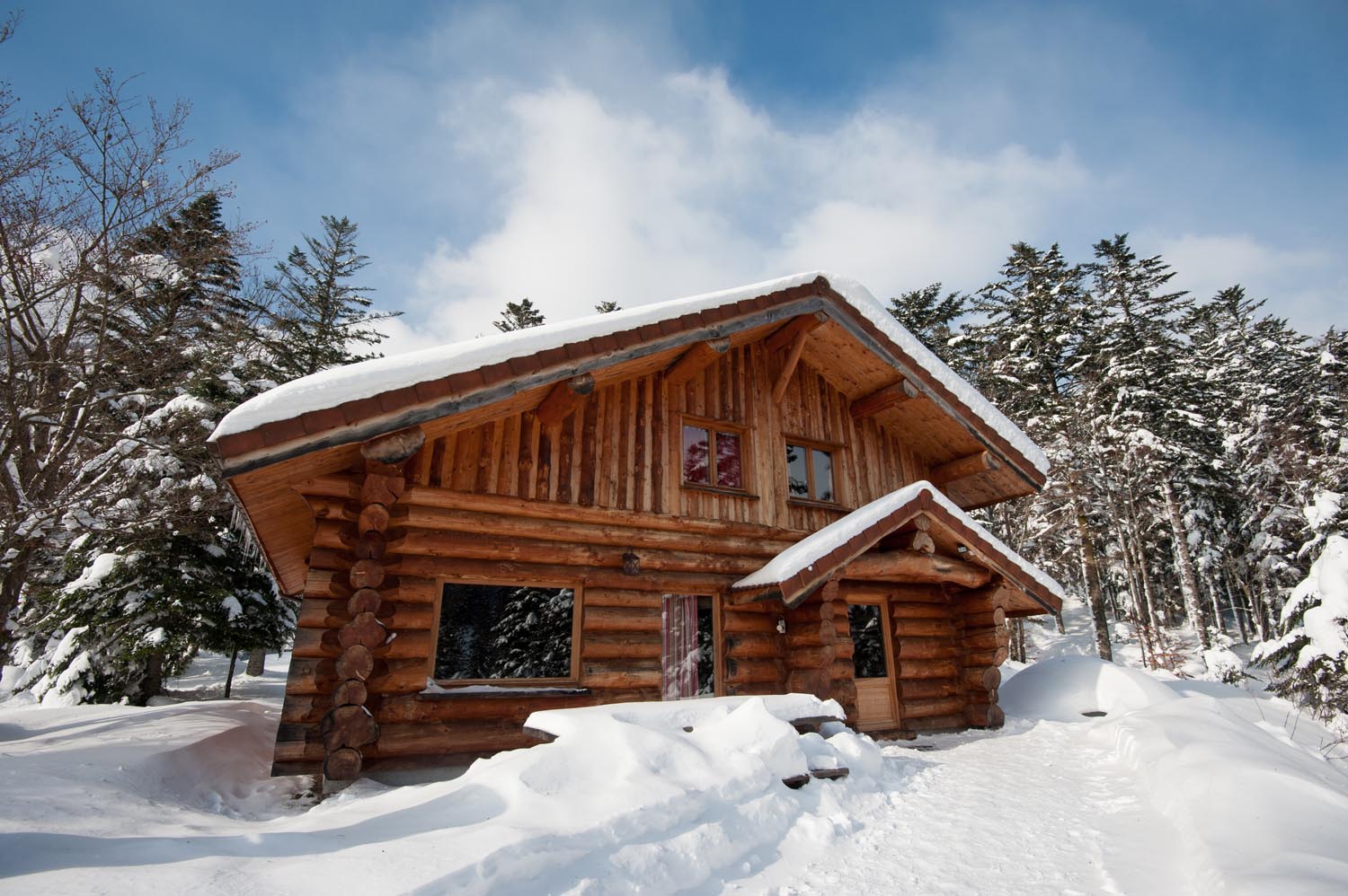 location chalet ski vosges la bresse