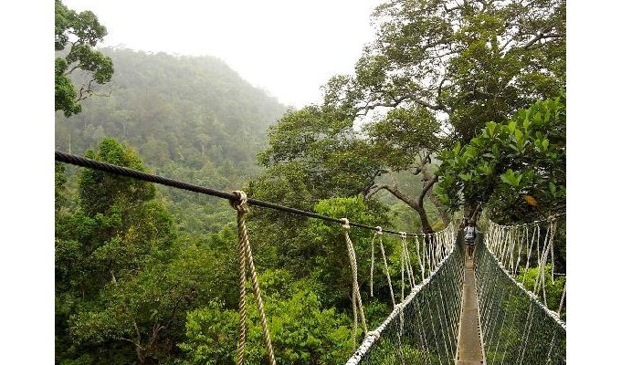 Circuit Découverte Malaisie - Visite de la ville de Kuala Lumpur - Expérience Jungle - Tropical Island Langkawi - 17 jours / 16 nuits