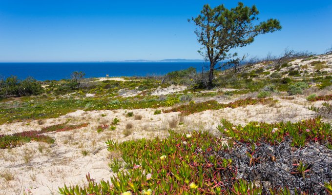 Location Villa Portugal Comporta à 2km de la plage et proche de la belle ville de Melides, Cote Lisbonne