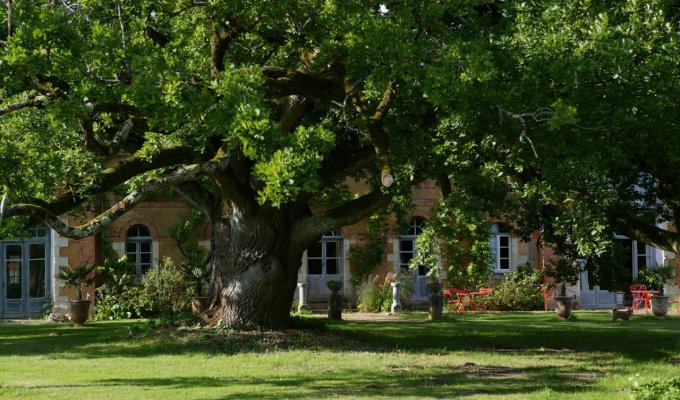 Pays de la Loire Location Maison de Charme Angers près d'Anjou