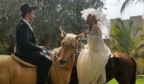 Rehovot photo #2