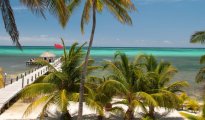 Ambergris Caye photo #10