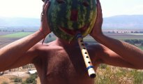 Merom Golan photo #9