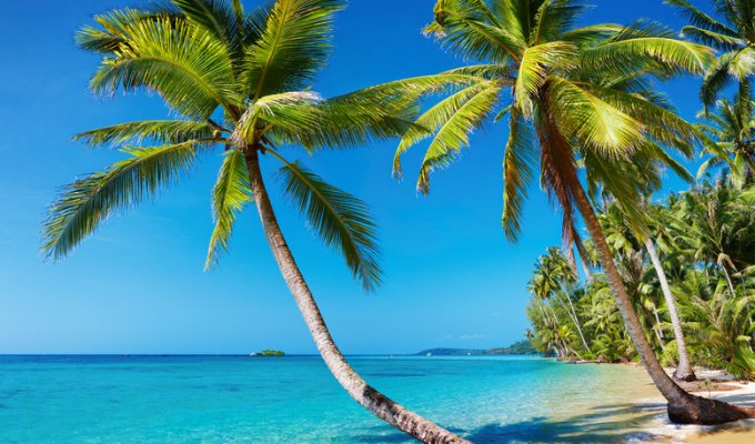 Croisière privée en Thailande jusquà 16 personnes - Location de catamaran avec équipage