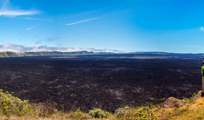 Cratère Volcan Sierra Negra