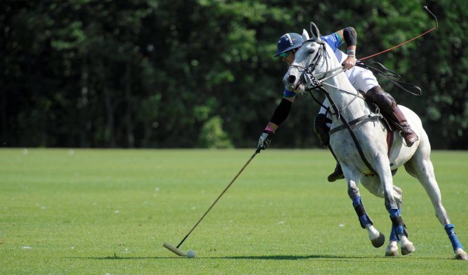 Terrain de Polo