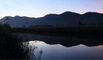 Hermanus photo #10