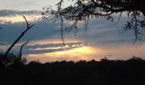 Hoedspruit photo #12