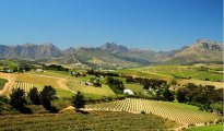 Stellenbosch photo #4