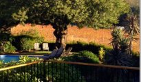 Paarl photo #3