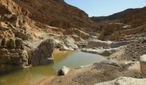 Mitzpe Ramon photo #6