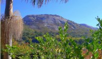 Paarl photo #1