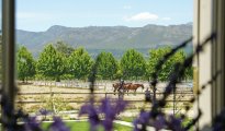 Franschhoek photo #11