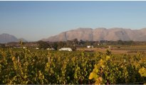 Stellenbosch photo #13